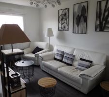 Le  salon avec nouvelle deco