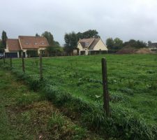 Terrains vierge