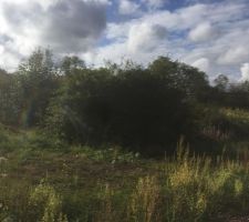 Terrain &agrave; l'achat