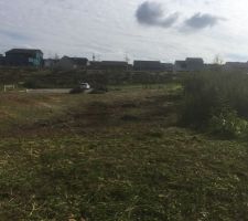 Terrain après nettoyage