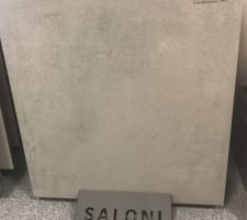 Carrelage choisi pour toute la maison, on aime l uniformité, en 60x60 pour les grandes pièces et 30x30 pour les plus petites.
Nous avons longuement hésité entre une imitation parquet et celui-ci, la peur de nous lasser nous a fait choisir ce gris.