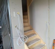 Escalier