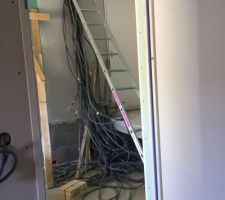 C'est le bordel dans le Garage! 
Le fil bleu avec le fil bleu, le rouge avec le rouge... XD