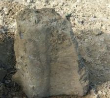 D&eacute;chets sur terrain