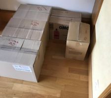 Premiers carton J-34