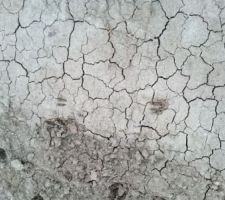 Quelques traces