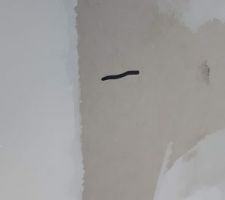 Traces de marqueur sur les murs du séjour