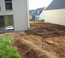 Sa pousse et sa prend forme