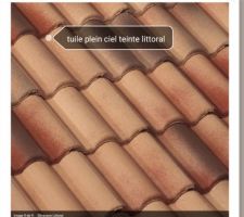 Tuiles monier plein ciel teinte littoral