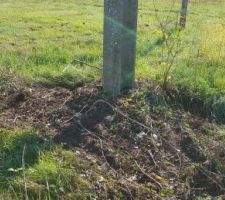 Le terrassier nous a gentiment enlevé toutes les ronces autour du poteau !