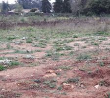 Implantation des piquets et fils tendus