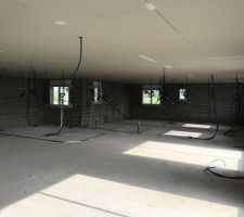 Démarrage de la pose du placo 
Plafond et pose des fourreaux de câble 
Traçage des cloisons