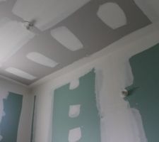 Cloisons pr&ecirc;te &agrave; peindre, et prises/interrupteurs ( salle de bain)