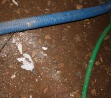 Inspection vide sanitaire