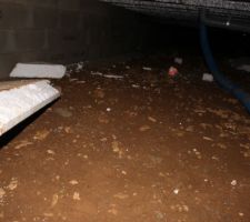 Inspection vide sanitaire