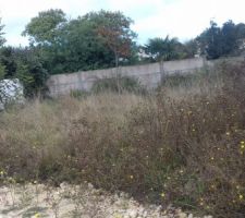 Notre terrain avant travaux