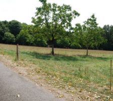 Le terrain dos au village