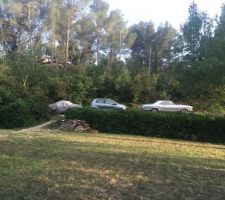 Quelques photos du terrain