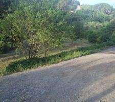 Quelques photos du terrain