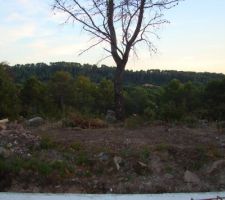 Vue sud depuis la terrasse