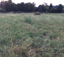 Un petit aperçu de notre terrain :)