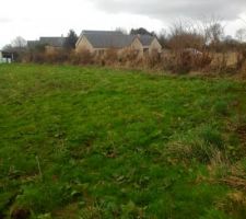 Le terrain avant viabilisation