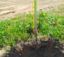 Le terrain en cours de viabilisation