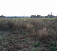 D&eacute;couverte du terrain ... et on a craqu&eacute; pour la vue d&eacute;gag&eacute;