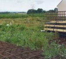 Avec l'aide d'amis et de mon grand, on a fini par en venir &agrave; bout apr&egrave;s 3 demi-jounr&eacute;es ! La d&eacute;broussailleuse &agrave; FIL n'a servi &agrave; rien. Le d&eacute;broussaillage s'est fait &agrave; la faux.