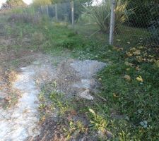 Cadeau pour la voisine !!!!! pas ontente , moi non plus j'ai pass&eacute; deux heures a casser le b&eacute;ton et &eacute;vacuer