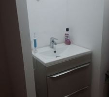 Salle d'eau chambre parentale