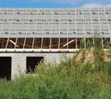 On voit que les anti-flambements ne vont pas jusque sur le haut du mur en facade