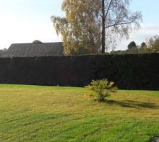 Belle vue sur la campagne au calme