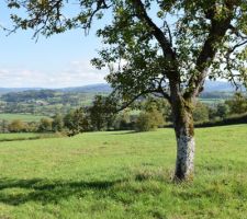 Depuis le haut du terrain, vers le sud