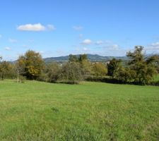 Depuis le haut du terrain, côté arboré existant. Vers l'est.