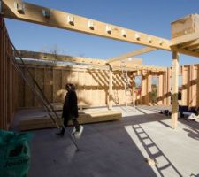 Photo du montage des murs du RDC en bois