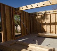 Photo du montage des murs du RDC en bois