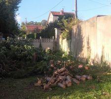 Tous ce bois &agrave; retirer