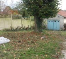 Nettoyage du terrain