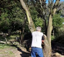 NETTOYAGE TERRAIN AVEC GILBERT ET TITI