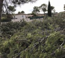 Ca en fait des branches!!