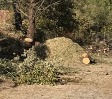 Les branche après broyage !