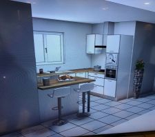 Future cuisine
Cout : 4600 euros