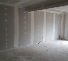 Pose des plaques cloisons interieures