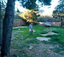 On peut voir sur celle-ci les murets en pierres.