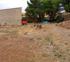 Afin d'&eacute;viter tout risque pour la toiture nous avons fait tomber les 3 pins.