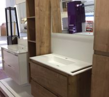 Meuble de salle de bain. Pour nous il serra avec deux colonnes fermées et en double vasques.
