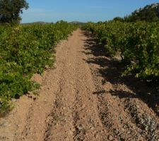 Aux abords du village