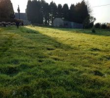 Photo du terrain nu. Il s'étend jusqu'au barrière au fond et nous avons le bâtiment en pierre et taule