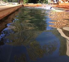 Piscine bois terminée